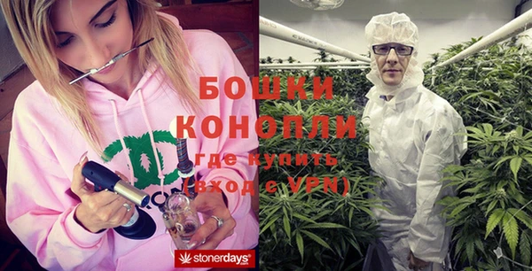 прущие крисы Бородино