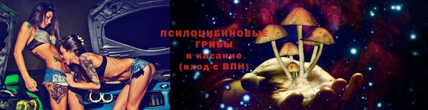 прущие крисы Бородино