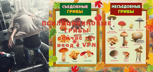 ГАЛЛЮЦИНОГЕННЫЕ ГРИБЫ Бугульма