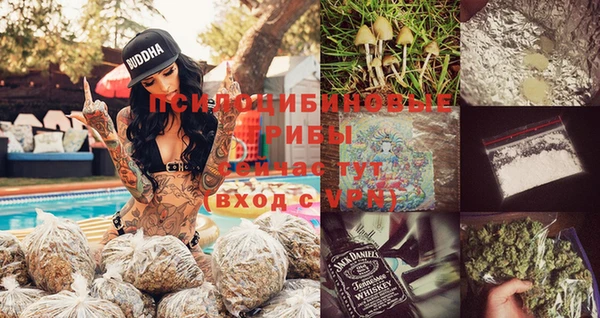 ГАЛЛЮЦИНОГЕННЫЕ ГРИБЫ Бугульма