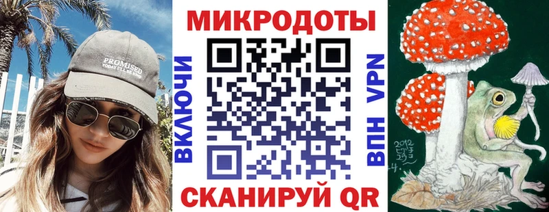 закладки  Нелидово  Псилоцибиновые грибы Psilocybe 